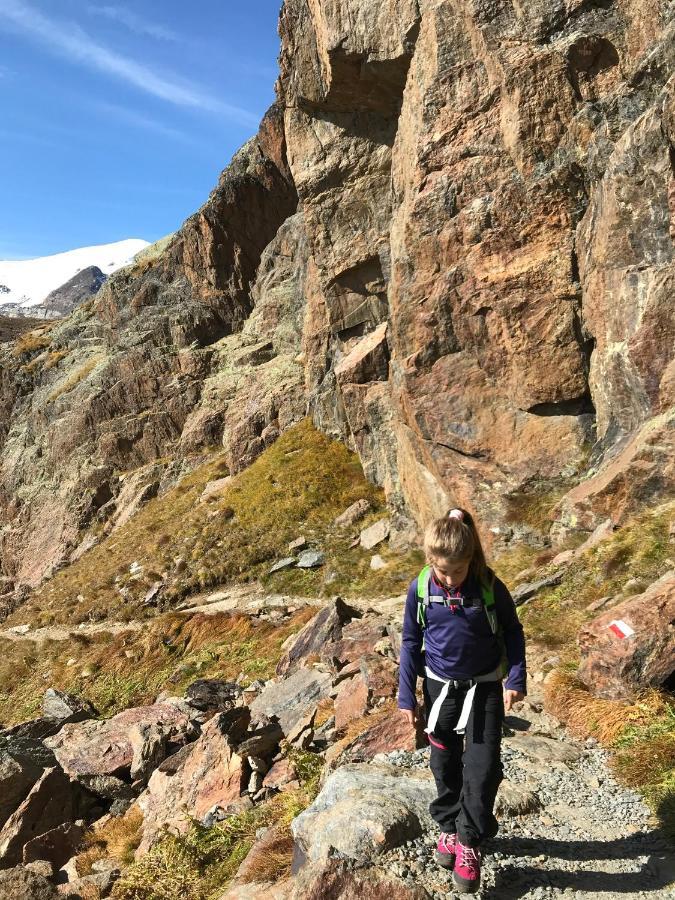 Bezzi Passo del Tonale